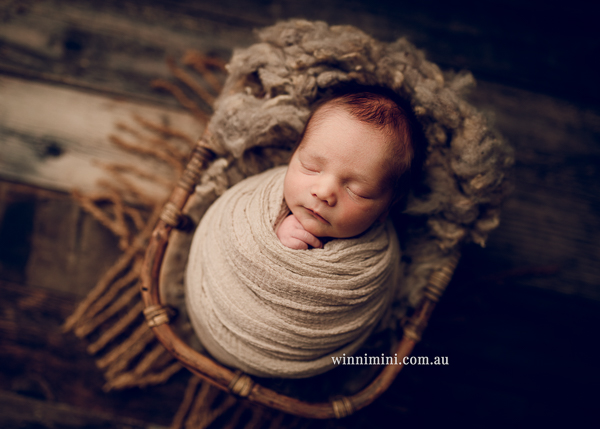 winni mini newborn baby babies older baby family birth maternity family families photography photographer photo photos tanha basile winni mini