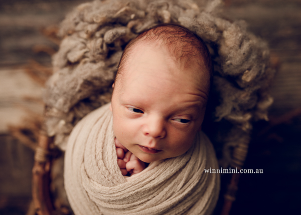 winni mini newborn baby babies older baby family birth maternity family families photography photographer photo photos tanha basile winni mini-29