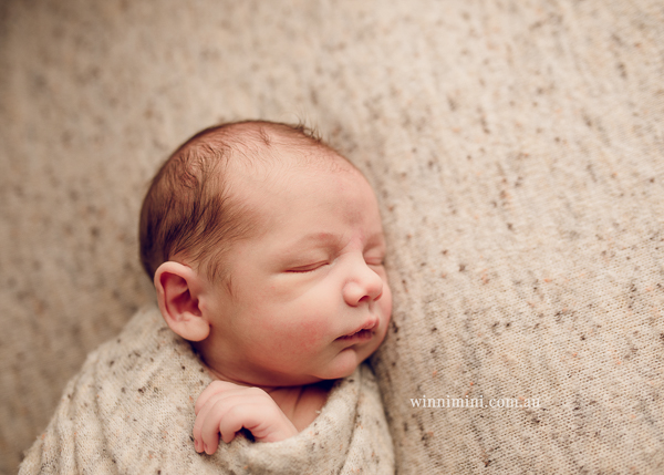 winni mini newborn baby babies older baby family birth maternity family families photography photographer photo photos tanha basile winni mini