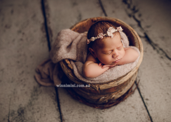 winni mini newborn baby babies older baby family birth maternity family families photography photographer photo photos tanha basile winni mini