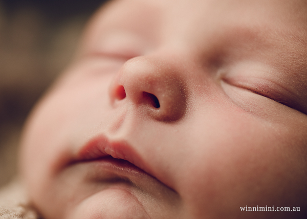 winni mini newborn baby babies older baby family birth maternity family families photography photographer photo photos tanha basile winni mini