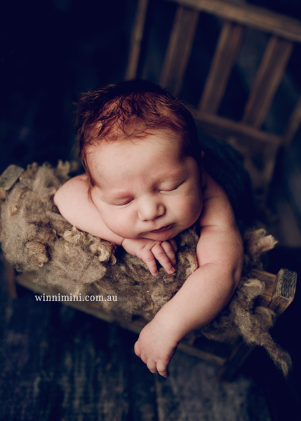 winni mini newborn baby babies older baby family birth maternity family families photography photographer photo photos tanha basile winni mini