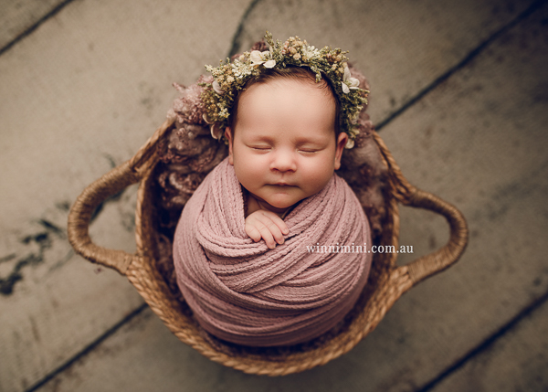 winni mini newborn baby babies older baby family birth maternity family families photography photographer photo photos tanha basile winni mini