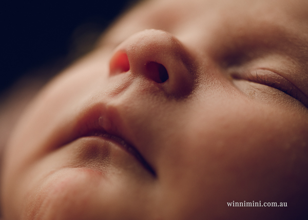 winni mini newborn baby babies older baby family birth maternity family families photography photographer photo photos tanha basile winni mini