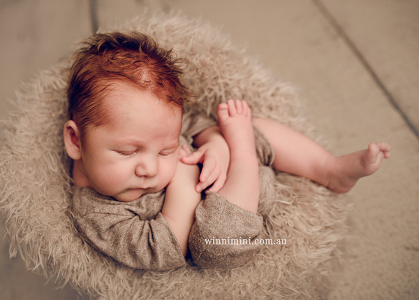 winni mini newborn baby babies older baby family birth maternity family families photography photographer photo photos tanha basile winni mini