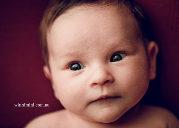 winni mini newborn baby babies older baby family birth maternity family families photography photographer photo photos tanha basile winni mini