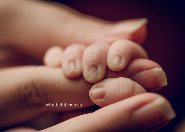 winni mini newborn baby babies older baby family birth maternity family families photography photographer photo photos tanha basile winni mini
