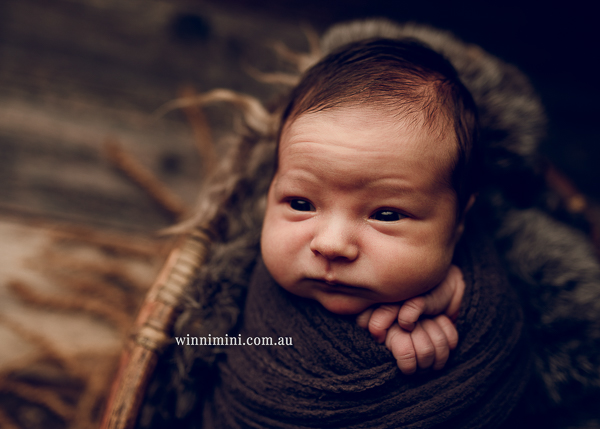 winni mini newborn baby babies older baby family birth maternity family families photography photographer photo photos tanha basile winni mini