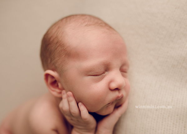 winni mini newborn baby babies older baby family birth maternity family families photography photographer photo photos tanha basile winni mini