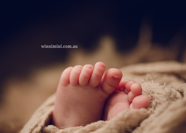 winni mini newborn baby babies older baby family birth maternity family families photography photographer photo photos tanha basile winni mini