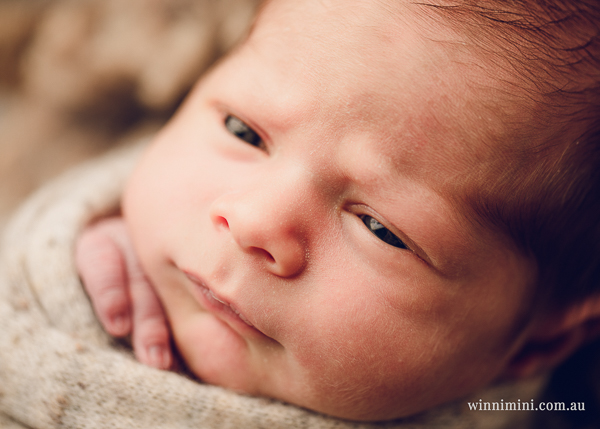 winni mini newborn baby babies older baby family birth maternity family families photography photographer photo photos tanha basile winni mini