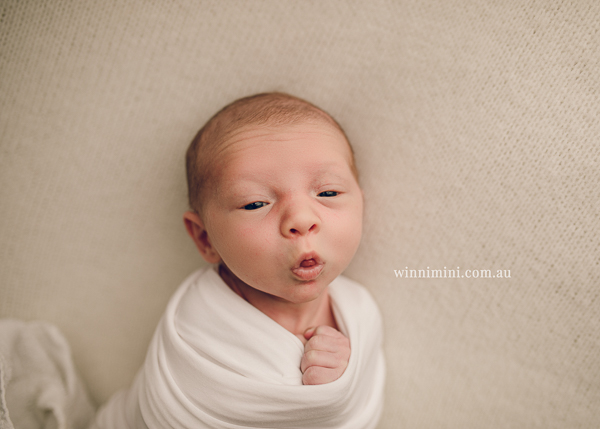 winni mini newborn baby babies older baby family birth maternity family families photography photographer photo photos tanha basile winni mini