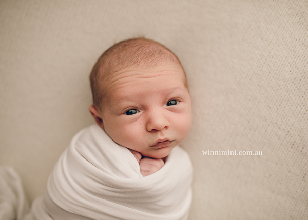 winni mini newborn baby babies older baby family birth maternity family families photography photographer photo photos tanha basile winni mini