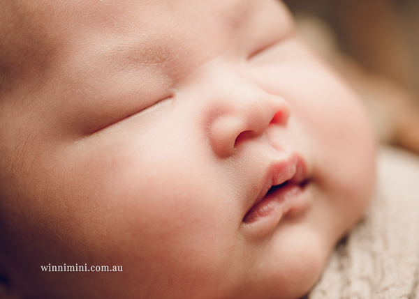 winni mini newborn baby babies older baby family birth maternity family families photography photographer photo photos tanha basile winni mini