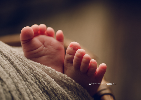 winni mini newborn baby babies older baby family birth maternity family families photography photographer photo photos tanha basile winni mini