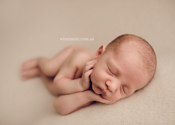 winni mini newborn baby babies older baby family birth maternity family families photography photographer photo photos tanha basile winni mini