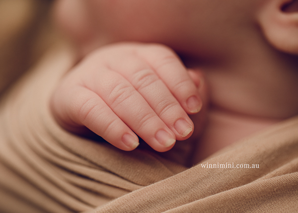 winni mini newborn baby babies older baby family birth maternity family families photography photographer photo photos tanha basile winni mini