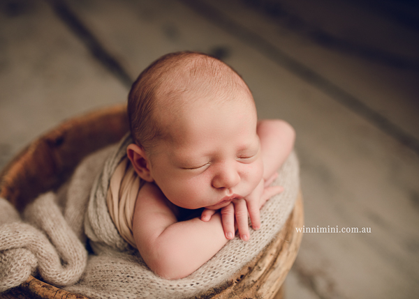 winni mini newborn baby babies older baby family birth maternity family families photography photographer photo photos tanha basile winni mini