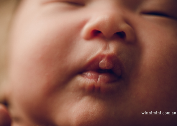 winni mini newborn baby babies older baby family birth maternity family families photography photographer photo photos tanha basile winni mini