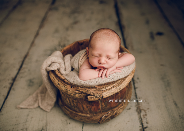 winni mini newborn baby babies older baby family birth maternity family families photography photographer photo photos tanha basile winni mini
