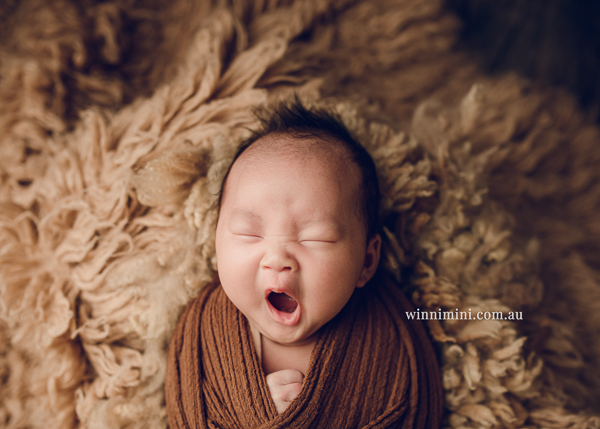 winni mini newborn baby babies older baby family birth maternity family families photography photographer photo photos tanha basile winni mini
