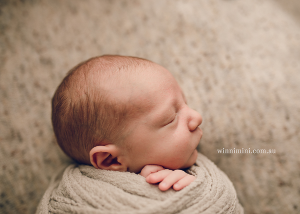 winni mini newborn baby babies older baby family birth maternity family families photography photographer photo photos tanha basile winni mini