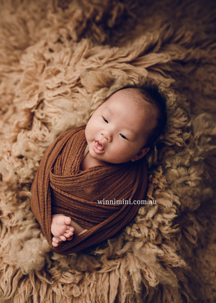 winni mini newborn baby babies older baby family birth maternity family families photography photographer photo photos tanha basile winni mini