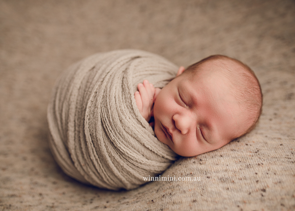 winni mini newborn baby babies older baby family birth maternity family families photography photographer photo photos tanha basile winni mini