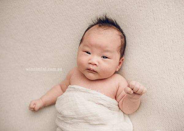 winni mini newborn baby babies older baby family birth maternity family families photography photographer photo photos tanha basile winni mini
