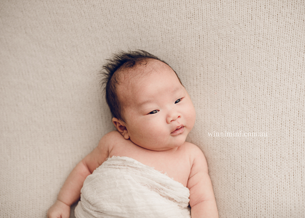 winni mini newborn baby babies older baby family birth maternity family families photography photographer photo photos tanha basile winni mini