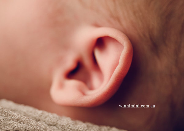 winni mini newborn baby babies older baby family birth maternity family families photography photographer photo photos tanha basile winni mini