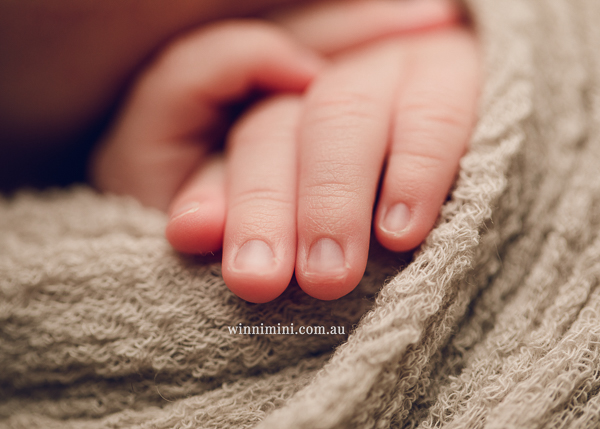 winni mini newborn baby babies older baby family birth maternity family families photography photographer photo photos tanha basile winni mini