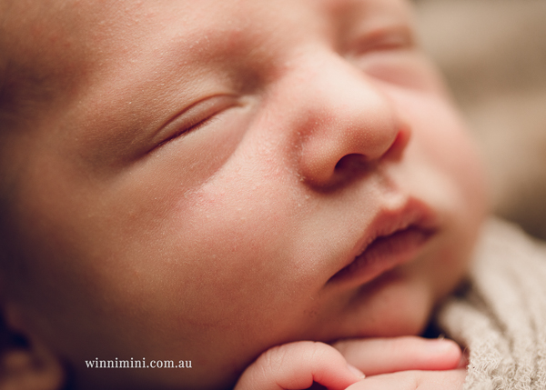 winni mini newborn baby babies older baby family birth maternity family families photography photographer photo photos tanha basile winni mini