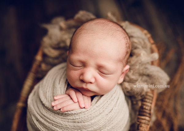 winni mini newborn baby babies older baby family birth maternity family families photography photographer photo photos tanha basile winni mini