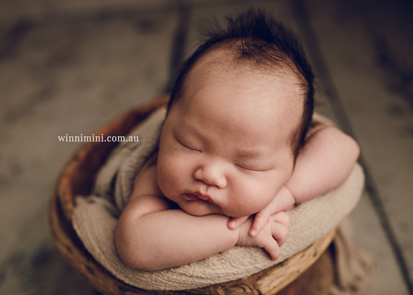 winni mini newborn baby babies older baby family birth maternity family families photography photographer photo photos tanha basile winni mini
