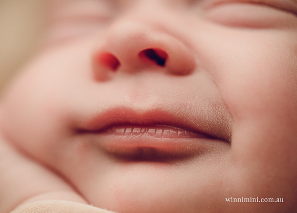 winni mini newborn baby babies older baby family birth maternity family families photography photographer photo photos tanha basile winni mini
