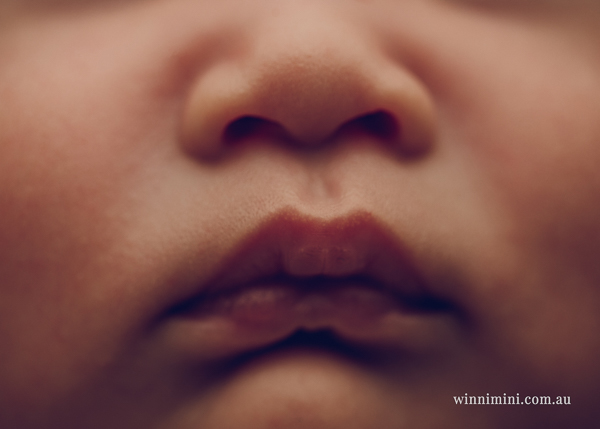 winni mini newborn baby babies older baby family birth maternity family families photography photographer photo photos tanha basile winni mini