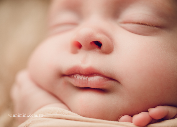 winni mini newborn baby babies older baby family birth maternity family families photography photographer photo photos tanha basile winni mini