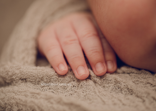 winni mini newborn baby babies older baby family birth maternity family families photography photographer photo photos tanha basile winni mini
