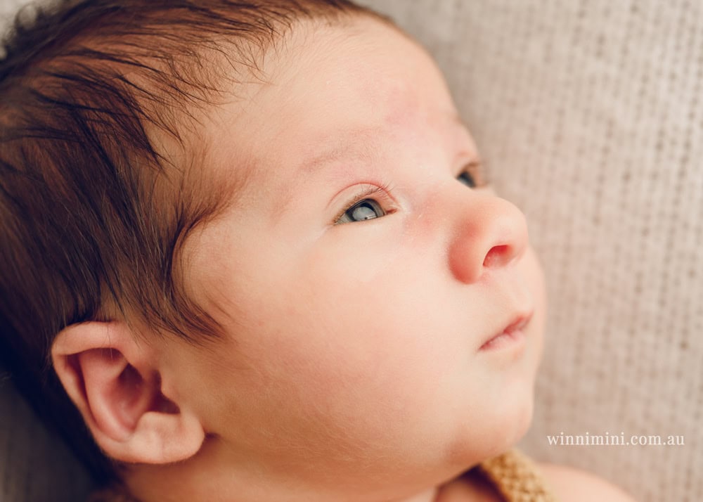 winni mini newborn baby babies older birth maternity family families photography photographer photo photos tanha basile winni mini Gold Coast