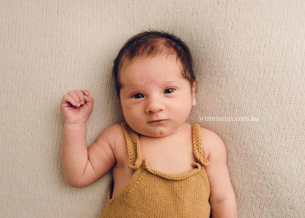 winni mini newborn baby babies older birth maternity family families photography photographer photo photos tanha basile winni mini Gold Coast
