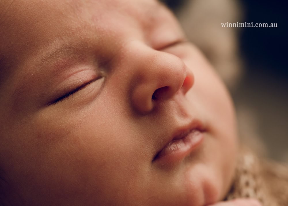 winni mini newborn baby babies older birth maternity family families photography photographer photo photos tanha basile winni mini Gold Coast
