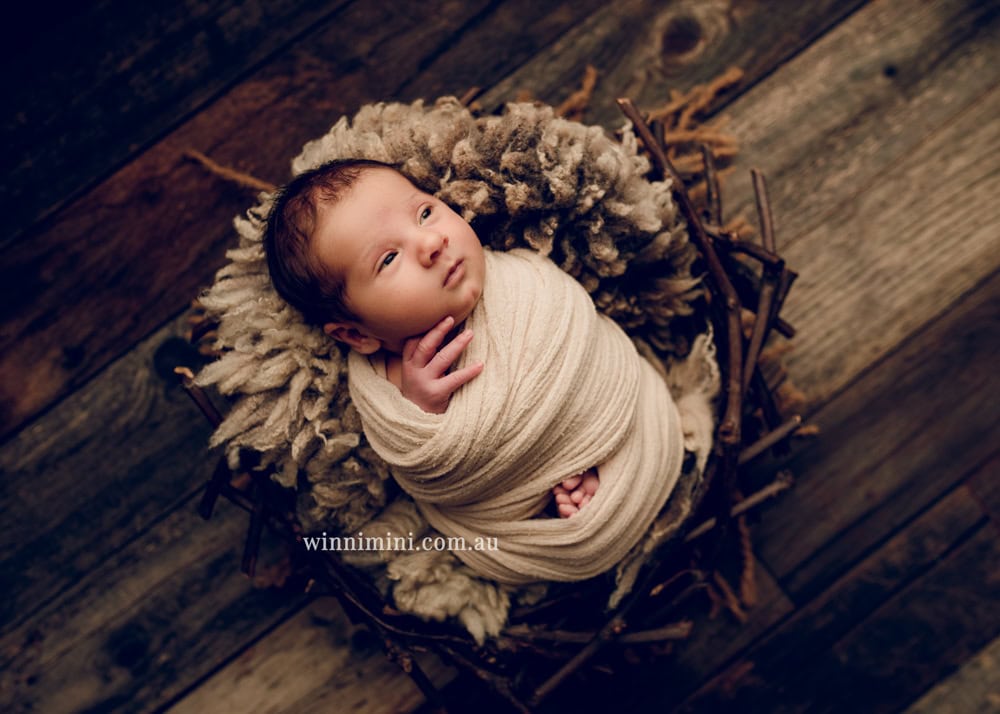 winni mini newborn baby babies older birth maternity family families photography photographer photo photos tanha basile winni mini Gold Coast