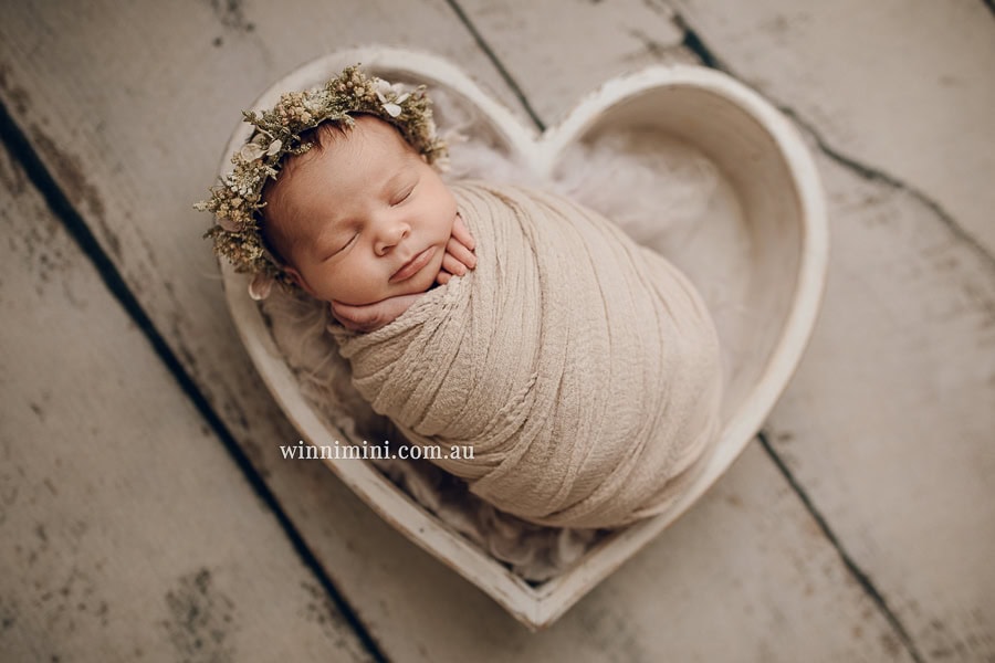 winni mini newborn baby babies older birth maternity family families photography photographer photo photos tanha basile winni mini Gold Coast ayla