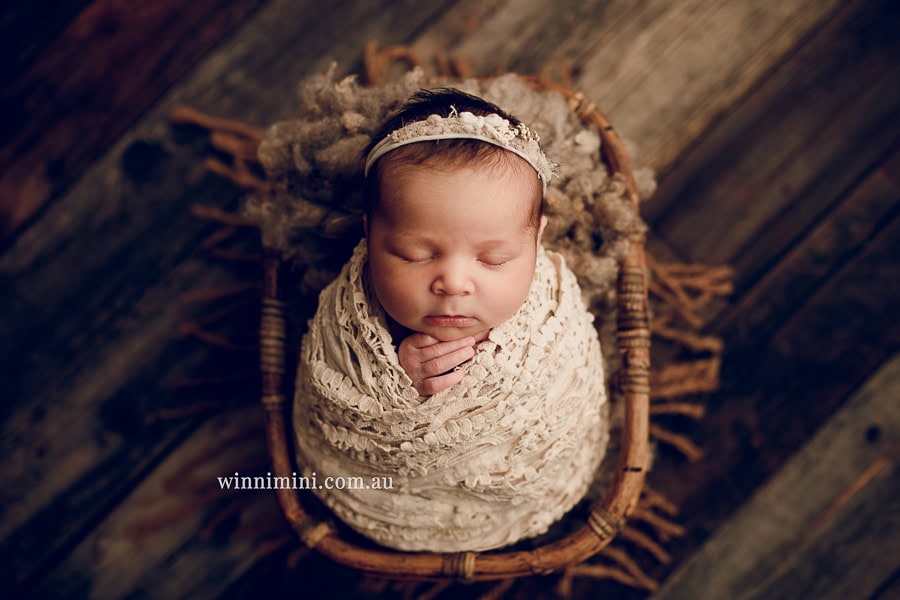 winni mini newborn baby babies older birth maternity family families photography photographer photo photos tanha basile winni mini Gold Coast ayla
