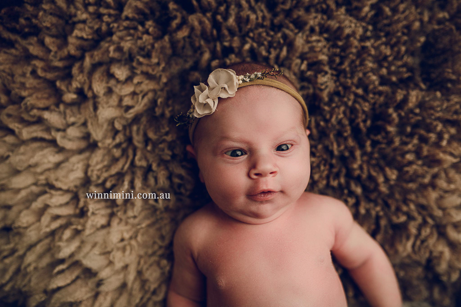 gold coast brisbane newborn baby babies family child families photographer photography photographs photo photographer winni mini tanha basile photo the best amazing upper coomera birth milk bath