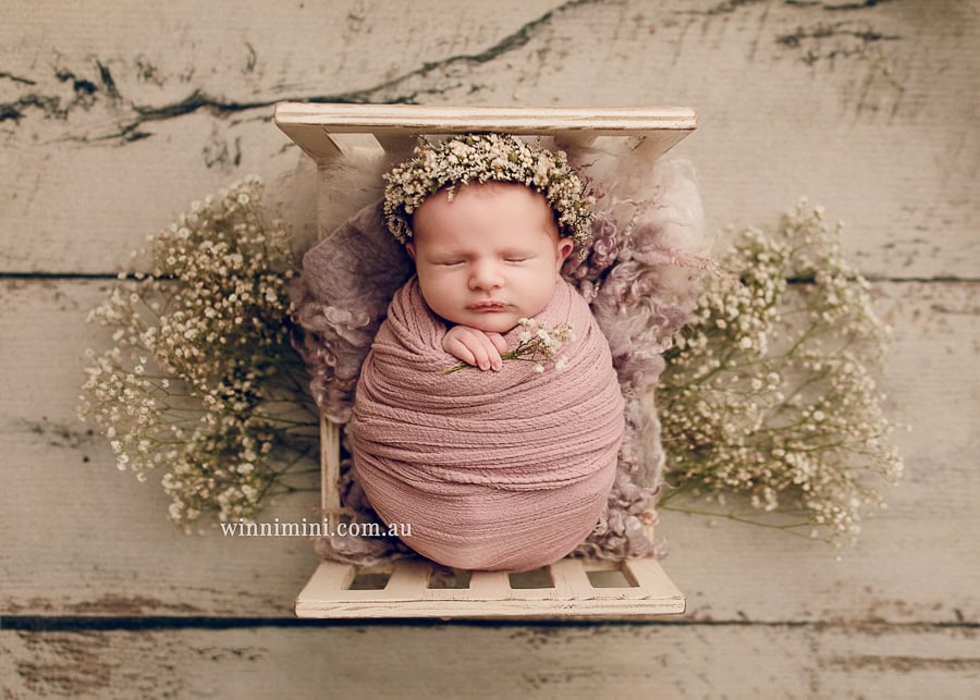 winni mini newborn baby babies older birth maternity family families photography photographer photo photos tanha basile winni mini Gold Coast ayla-1