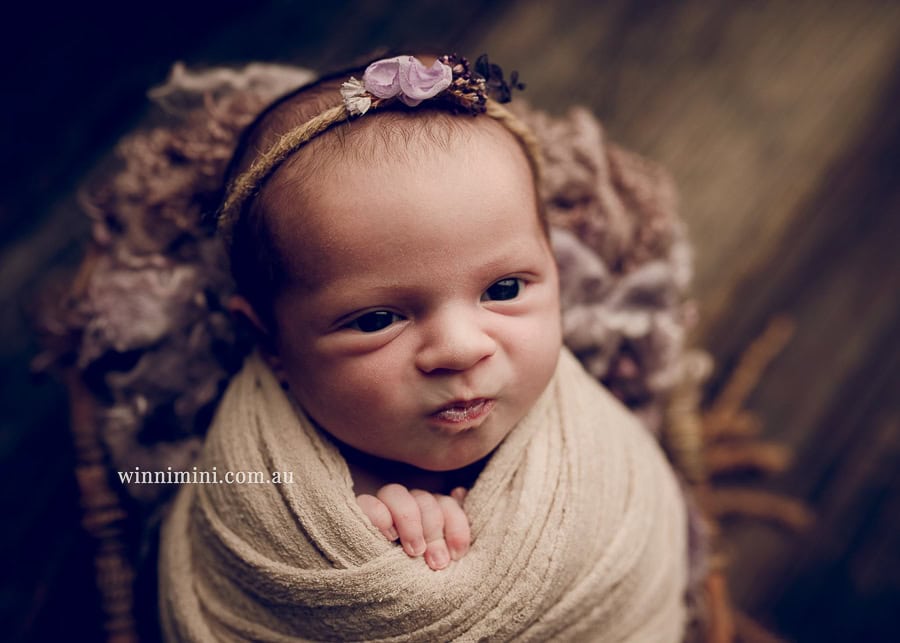 gold coast brisbane newborn baby babies family child families photographer photography photographs photo photographer winni mini tanha basile photo the best amazing upper coomera birth