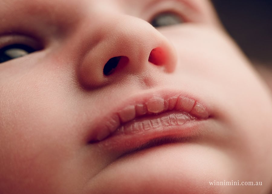 winni mini newborn baby babies older birth maternity family families photography photographer photo photos tanha basile winni mini Gold Coast ayla-1