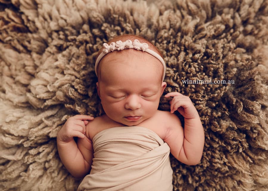 winni mini newborn baby babies older birth maternity family families photography photographer photo photos tanha basile winni mini Gold Coast ayla-1